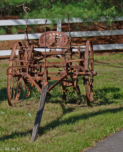 Stud Cart | by m_hamad