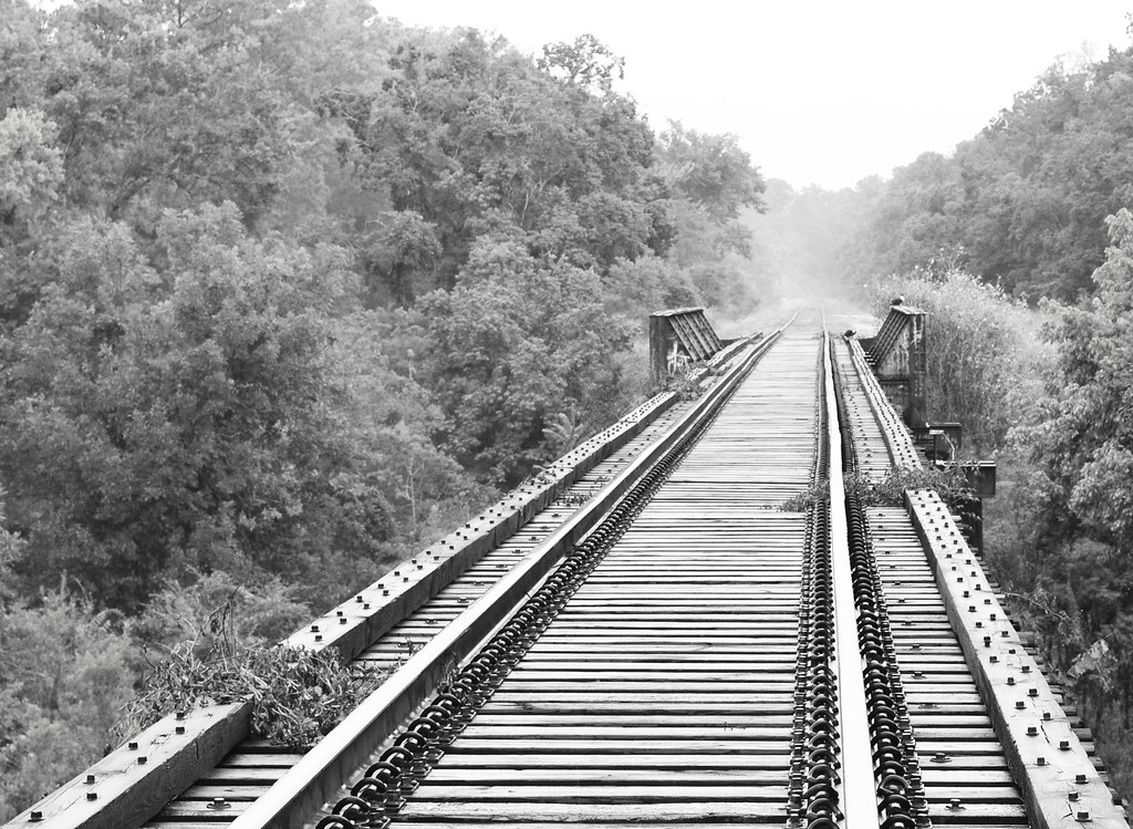 Pony Girder Railroad Bridge over Cedar Bayou, Baytown, Texas 1307201205BW