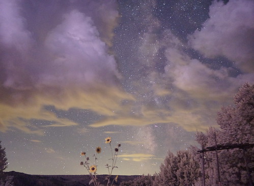 flowers clouds stars sunflowers milkyway awesomesauce