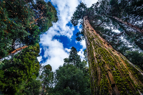 california d7000 forestfalls nikon sanbernardinocounty landscape photographersontumblr photography unitedstates