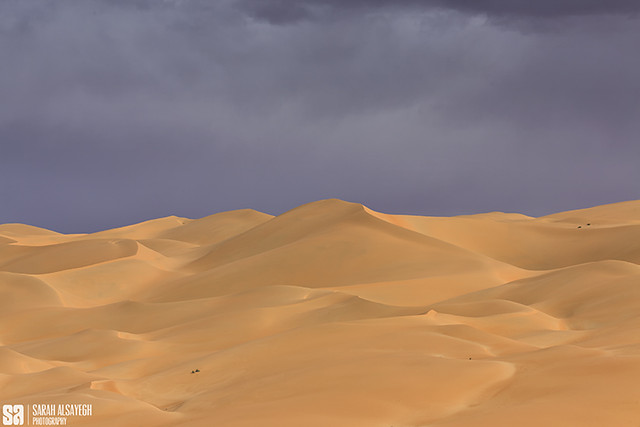 UAE - Soft Light Over The Empty Quarter Dunes