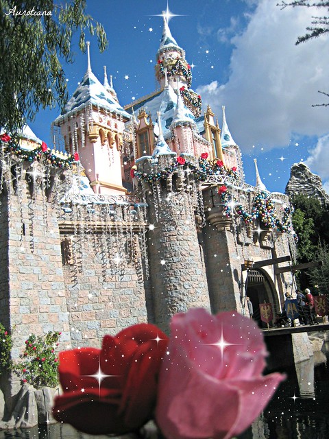 #Flickr12Days- Sleeping Beauty's Magical Roses