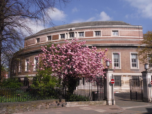 Stoke Newington Town Hall SWC Short Walk 26 - Woodberry Wetlands (Stoke Newington Reservoirs)