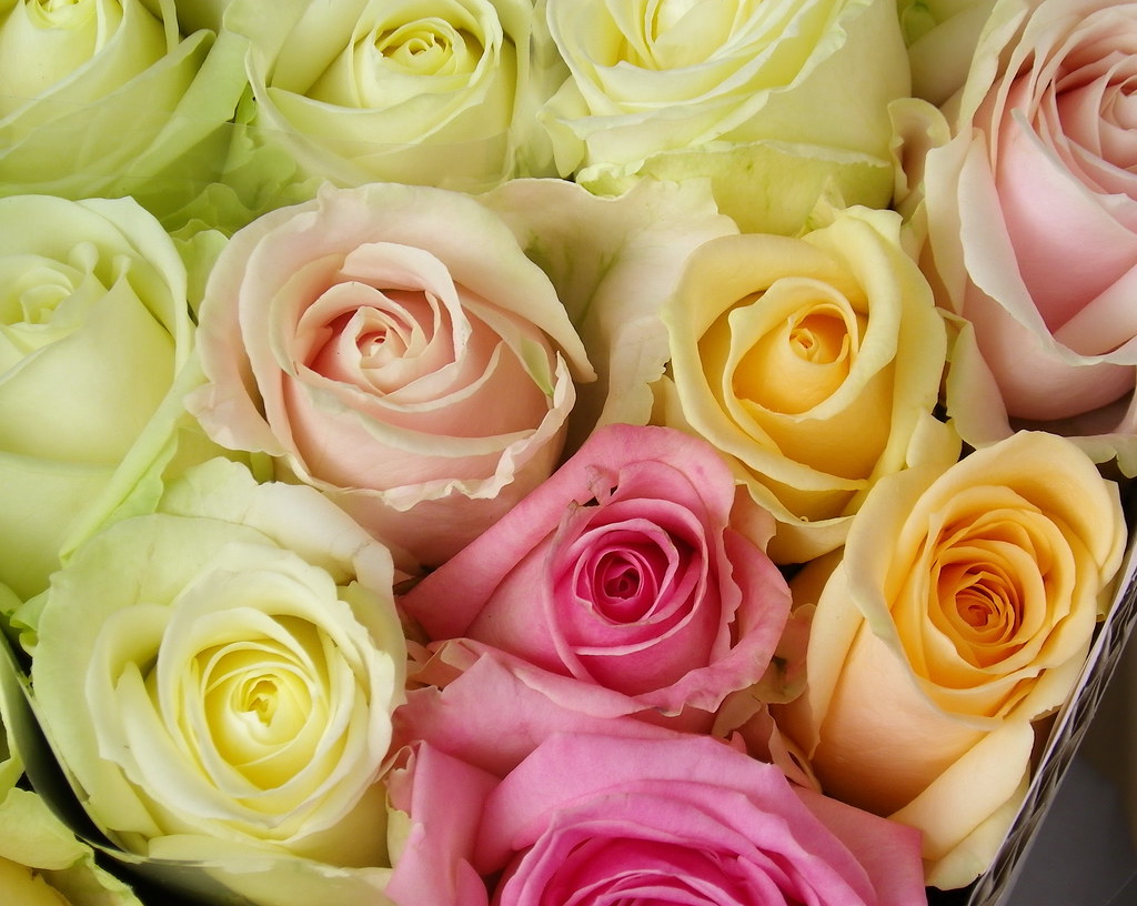 Chez Rose