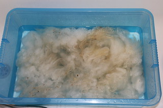 Washing random farm wool fleece