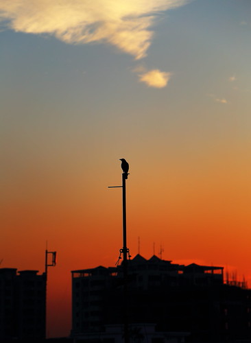 IMG_0391 by Michele Guastella, sky canon bangladesh 6d