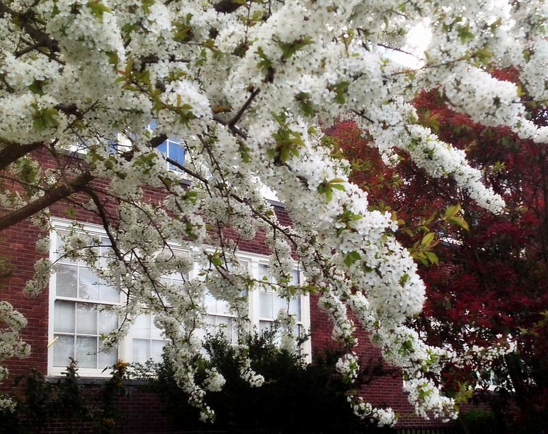 Seattle đạt thỏa thuận, tránh đình công trước ngày khai giảng