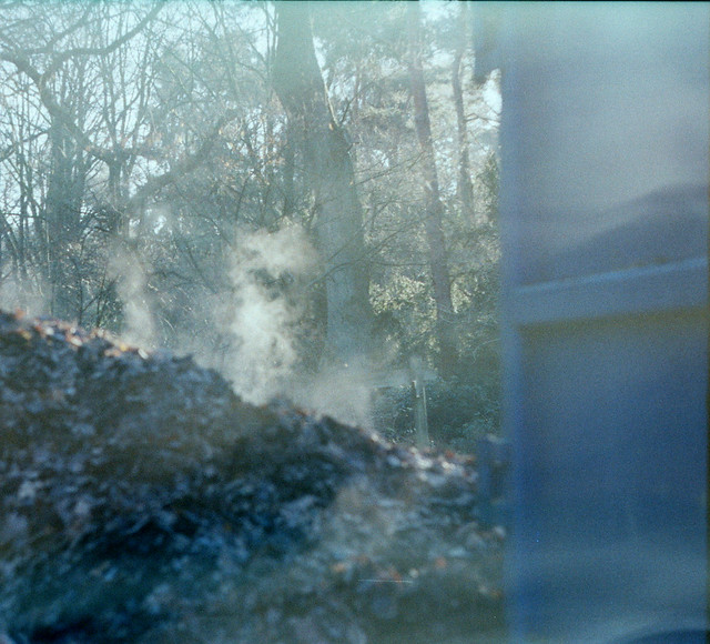 Frozen leaves steaming in wintersun - I shot film