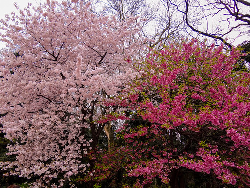 Tokyo, Japan