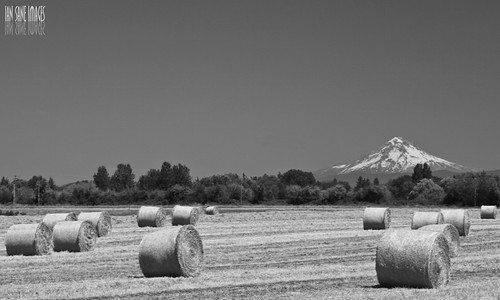 white black oregon landscape ian photography mt view time farm harvest images mount valley hood roll rolls they how hay agriculture bales willamette sane woodburn the in that’s