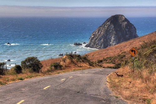 county fawn sugarloaf lostcoast roadnorth coastnorthern californiahumboldt islandmattole