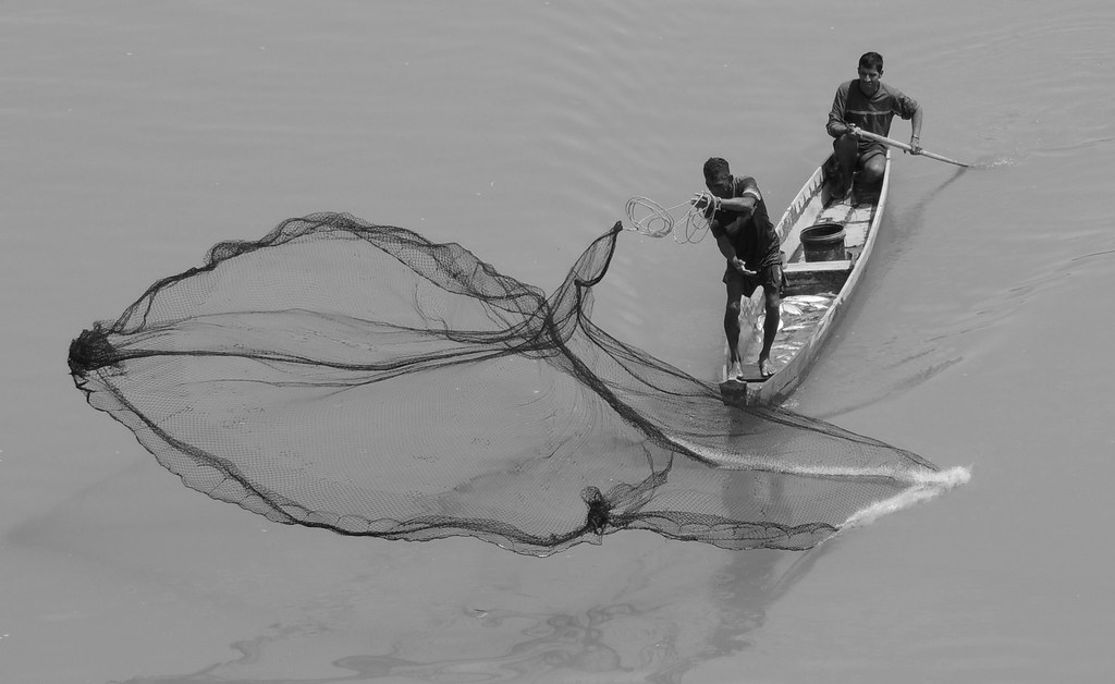 Pescador con atarraya, Babahoyo. Prov. Los Ríos.ECU Octubre…