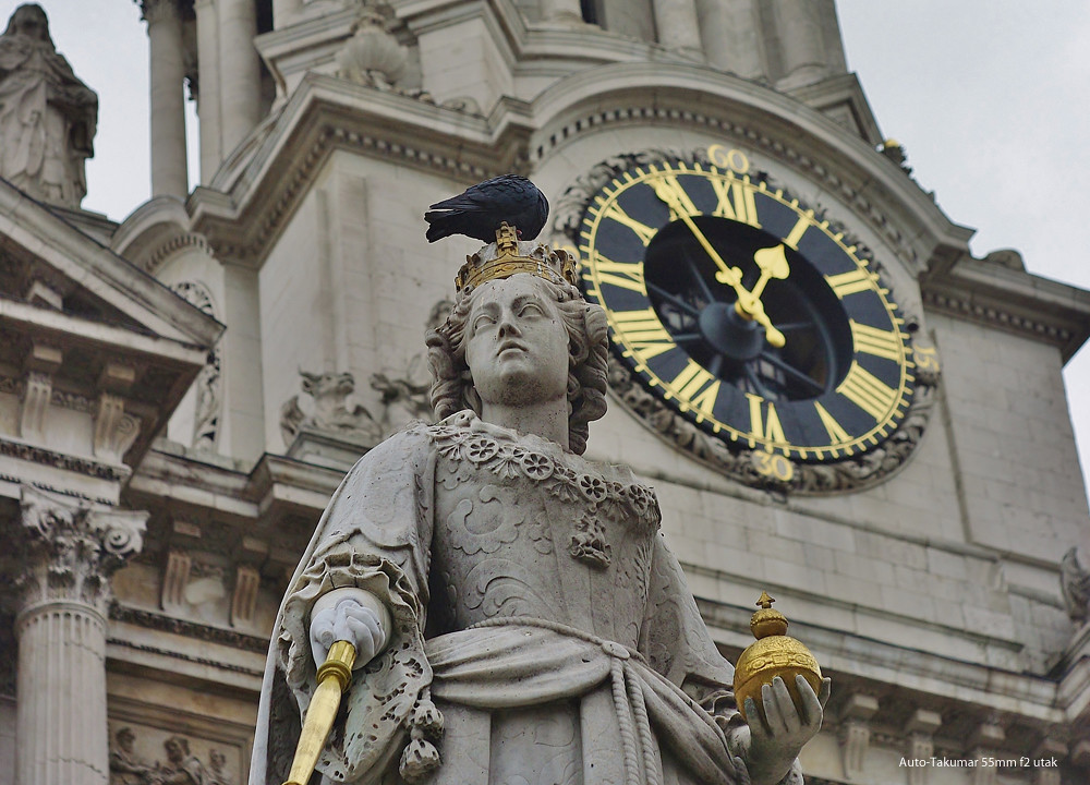 The Queen's pigeon