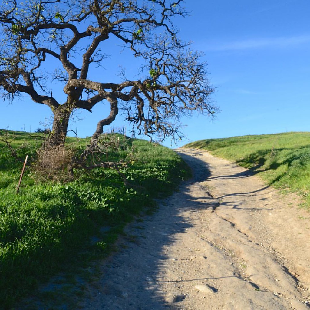 Trail