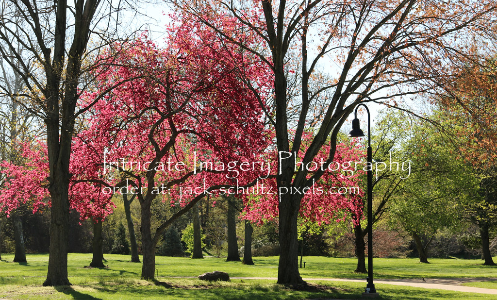 Toledo Botanical Gardens 0577 Jack Schultz Flickr