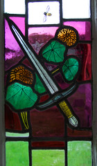 sword of St Paul and nasturtiums (Paul Quail)