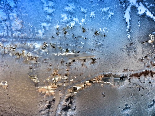 IMG_20140107_140838 by clevelandstatecc, A frosty view of campus