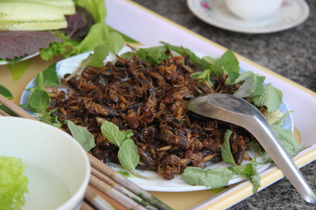 Would you eat insects? Deep fried and ready to be consumed