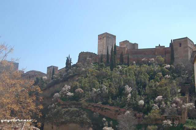 La Alhambra.Granada