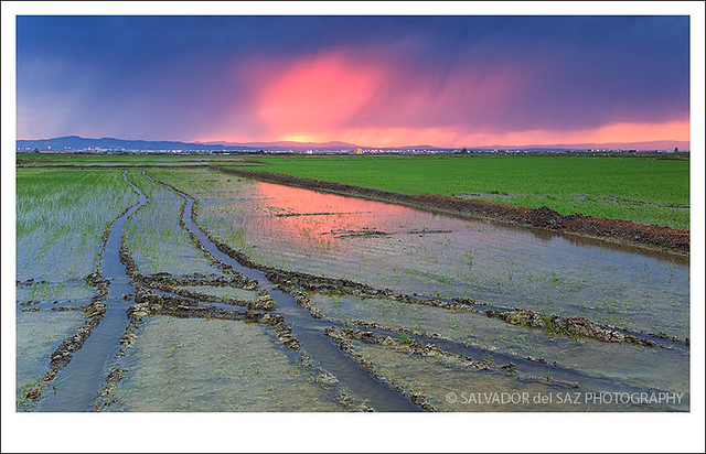 Flooding the rice fields XXIII (glow and tracks)