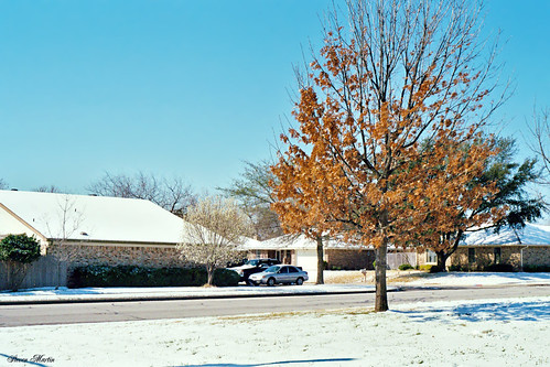 winter snow neighborhood houses trees 2008 northrichlandhills texas