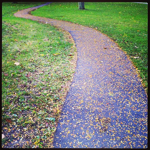 Bespeckled path at Western on the way to convocation this morning.