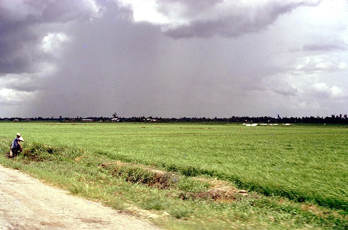 1972 ricefields dinhtuongprovince tiá»ngiang