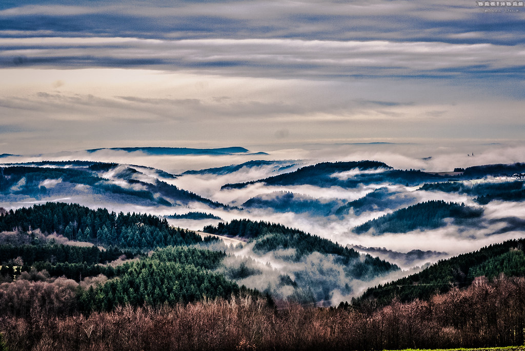 [HDR] Misty weather in the Hunsrück region