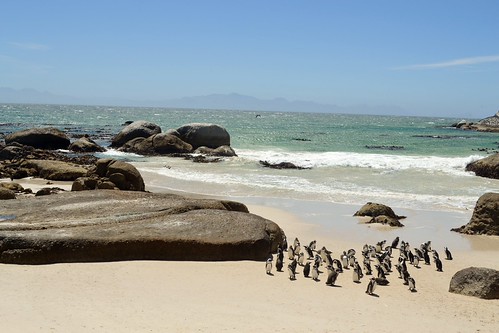 Durban Beach