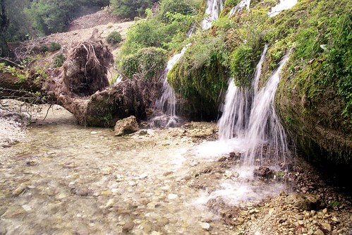 plants tree water river waterfall greece watermill epirus souli ήπειροσ σούλι νερόμυλοσ ποτάμι thephotographyblog φυτά δέντρο νερό καραράκτησ