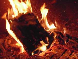 Burning log | by bogolyandras