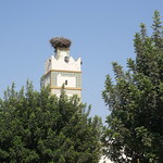 Le minaret de la mosquée