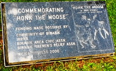 IMG_0316 (1)honk moose