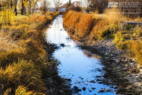 Peaceful River | by Reasons to Love Idaho