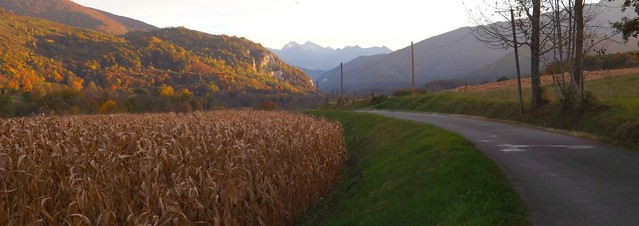 Chemin d'Izaux (Hautes Pyrénées)