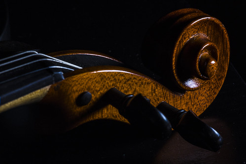 _MG_2918 | by KNJ ART