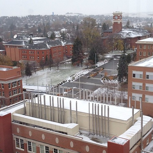 .@WSUPullman seeing snow again this morning. #wsusnow #gocougs
