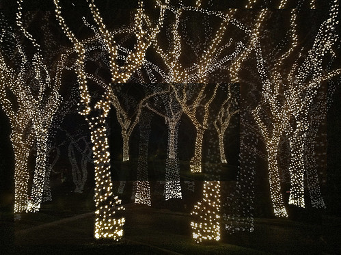 tree lights karenmcquilkin