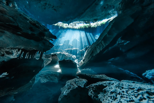 cenote absolute diving