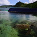 New polarizing filter
Palau Aquarium
