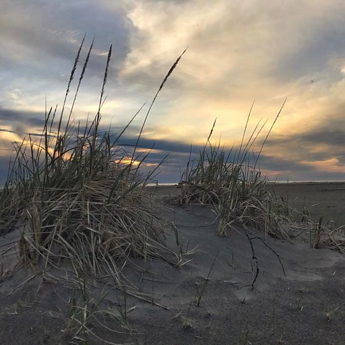 sunset pacificocean beach pacificnorthwest clouds seaoats sand ocean coastal tideline