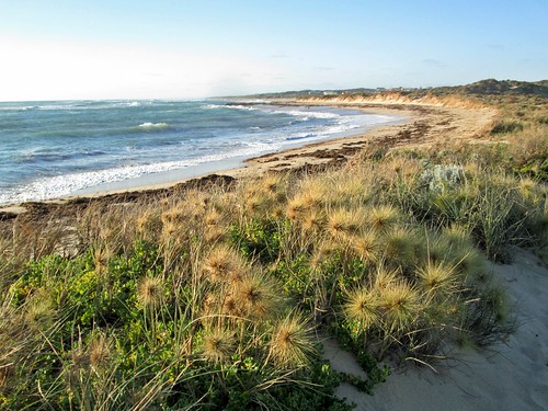 arurinebay dongara westernaustralia wa oz australia sanddunes dunes indianocean ocean waves tide surf
