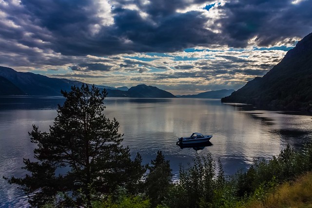 Dans le paisible Hardangerfjord, un beau jour d'été (Norvège)