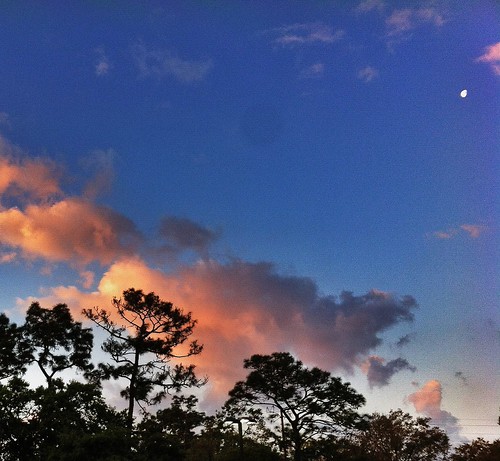 Daybreak by dblackley2012, morning trees sky nature clouds sunrise outdoors