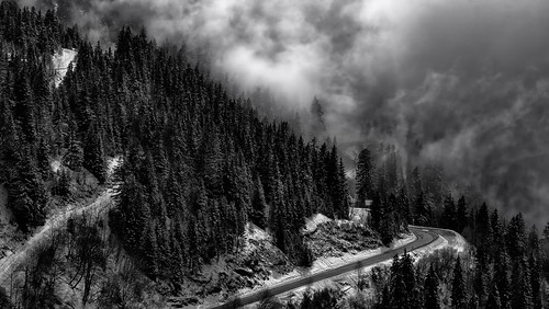 bw blanc blackandwhite black noiretblanc gris landscape paysage montagne monochrome alpes sapin nature nuage cloud route neige snow hdr cloudsstormssunsetssunrises