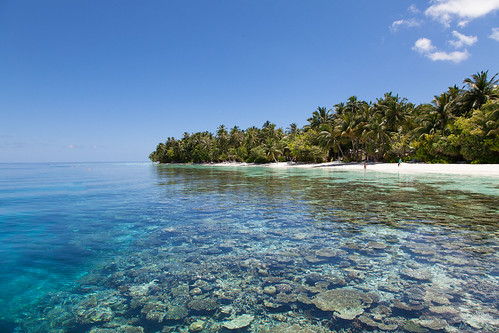 Beach & House Reef