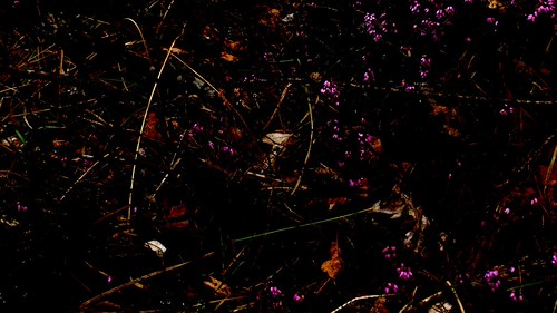 cromatic composition | by jackomelli3a5