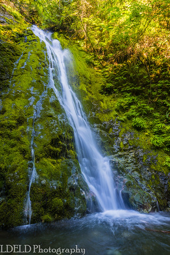waterfall olympicnationalpark washington elwharivervalley madisonfalls stream creek moss green