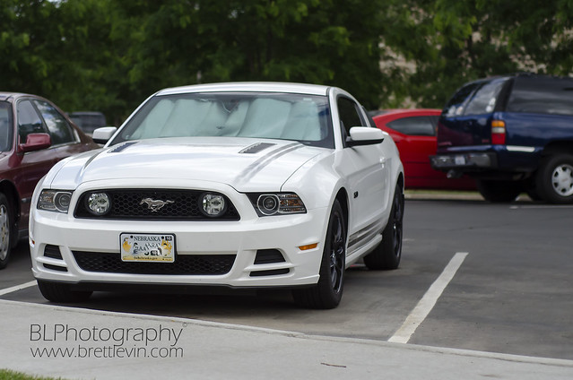 Image of Mustang (Mk5)