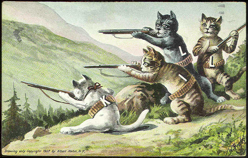 cats, kill, 1907.